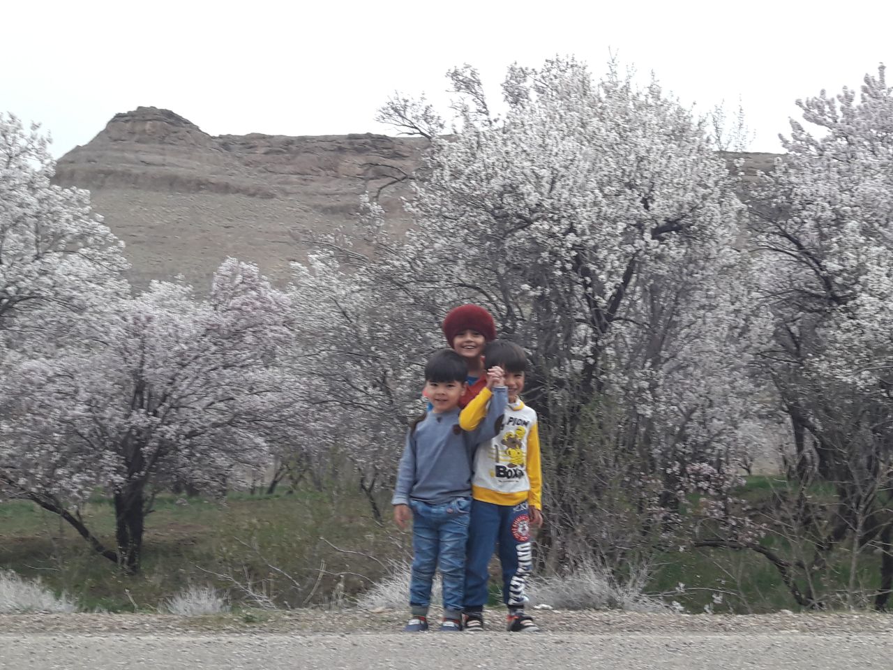 فاطمه و محمد و مهدی عرب