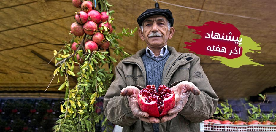 تفریح این هفته در تهران و کردستان